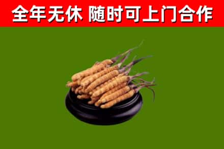 聊城市烟酒回收冬虫夏草.jpg