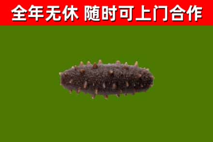 聊城市烟酒回收干海参.jpg